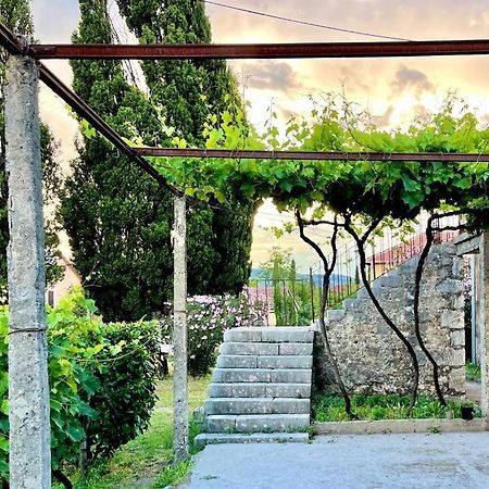 Apartman Boljevic Podgorica Eksteriør billede